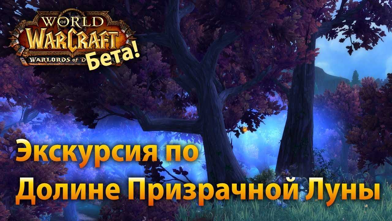 Wow burning crusade classic-выбрать алдоров или провидцев?