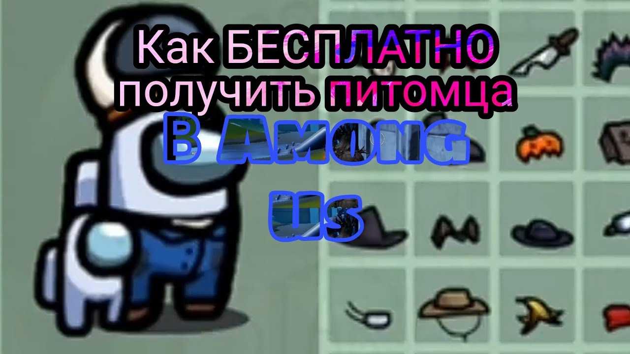 Как бесплатно получить питомца в among us?
как бесплатно получить питомца в among us?