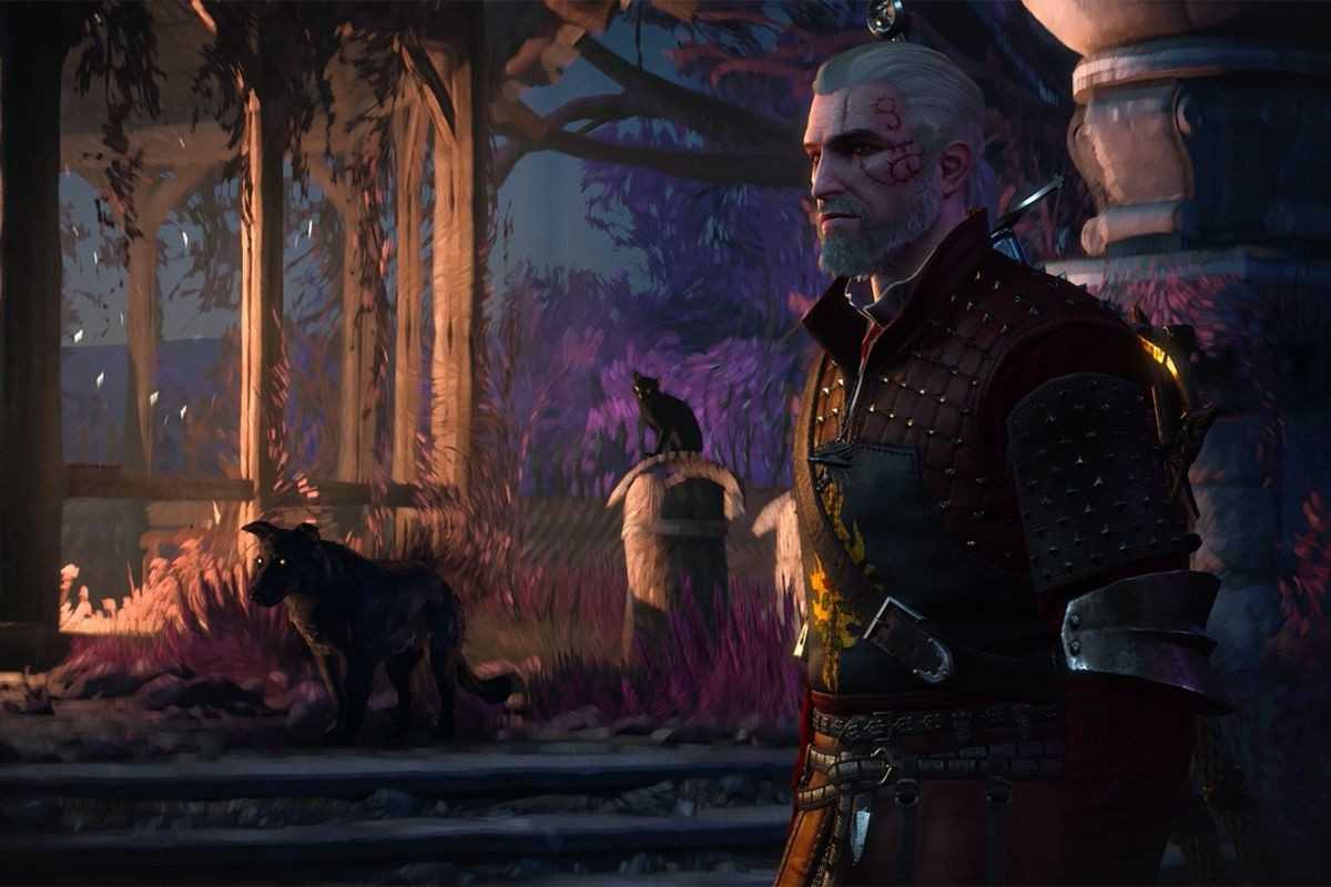Гайд по запретному краю в wow dragonflight: маунты, рарники