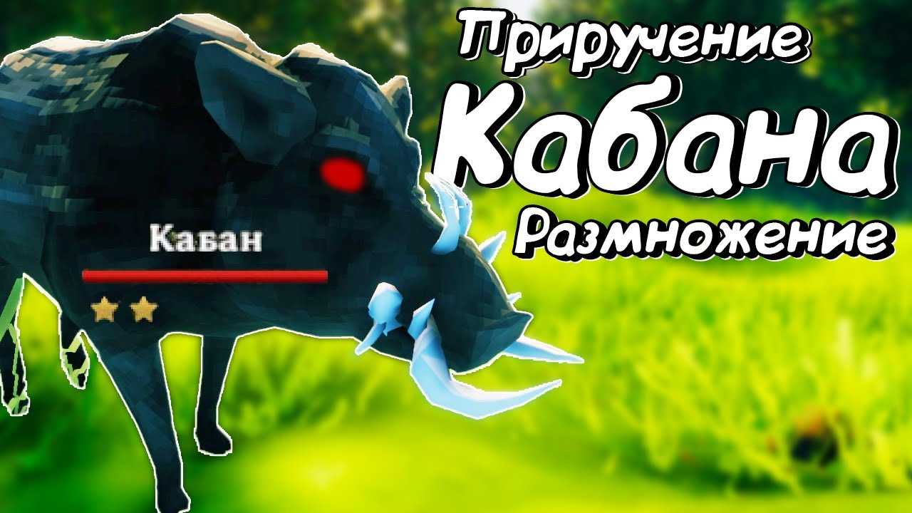 Как приручить кабана в valheim : gamez= - игровой портал