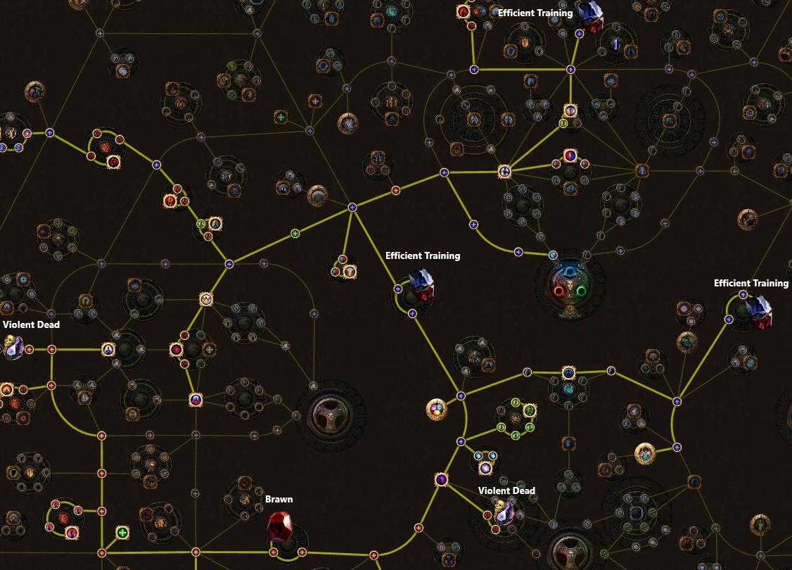 7 лучших сборок path of exile в 2022 году: necromancer, gladiator и другие - votguide.ru