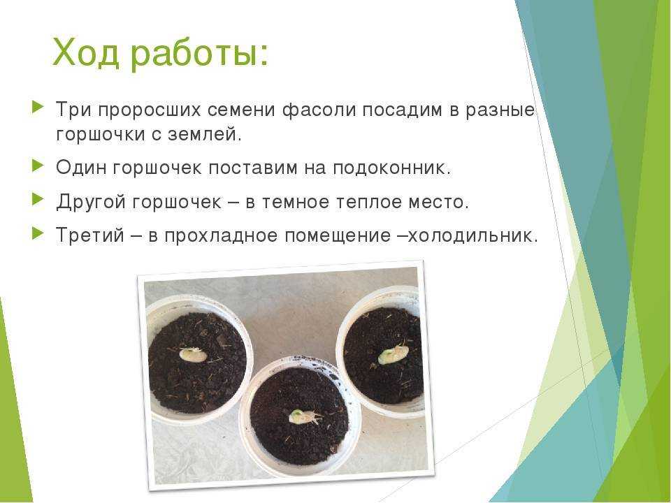 Снятие шкур 3.3.5 гайд 1-450