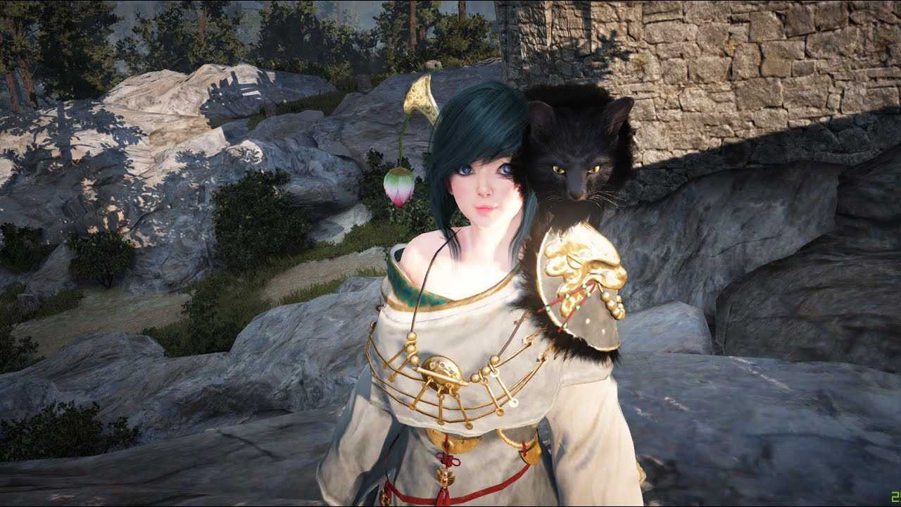 Гайд по прокачке мистика в бдо. онлай игра black desert – гайд по мистику. черный лев: удар ужаса
