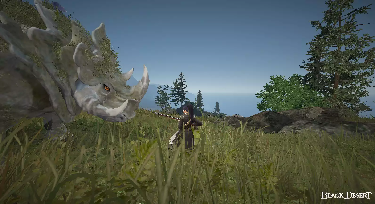 Hunting lifeskill guide - black desert foundry