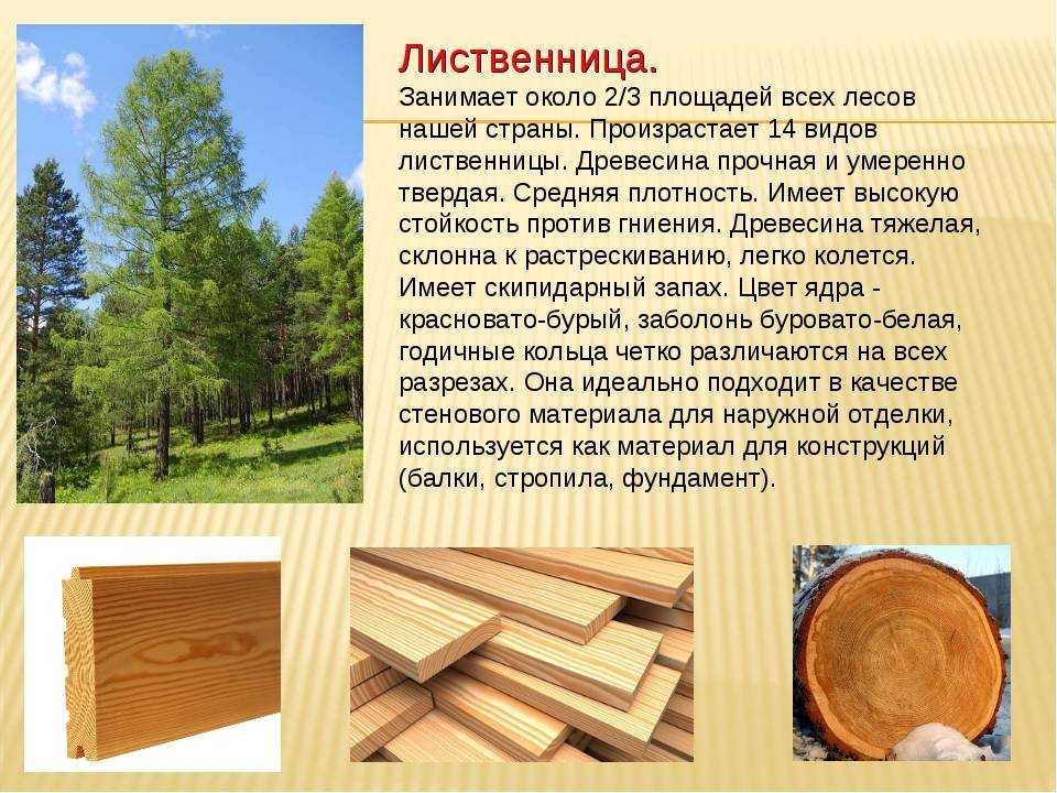 Где найти все породы дерева в genshin impact