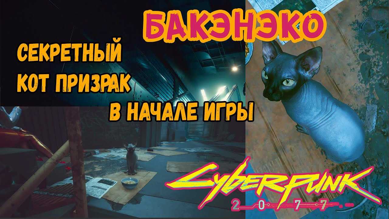 Cyberpunk 2077 где найти домашнюю кошку - guíasteam