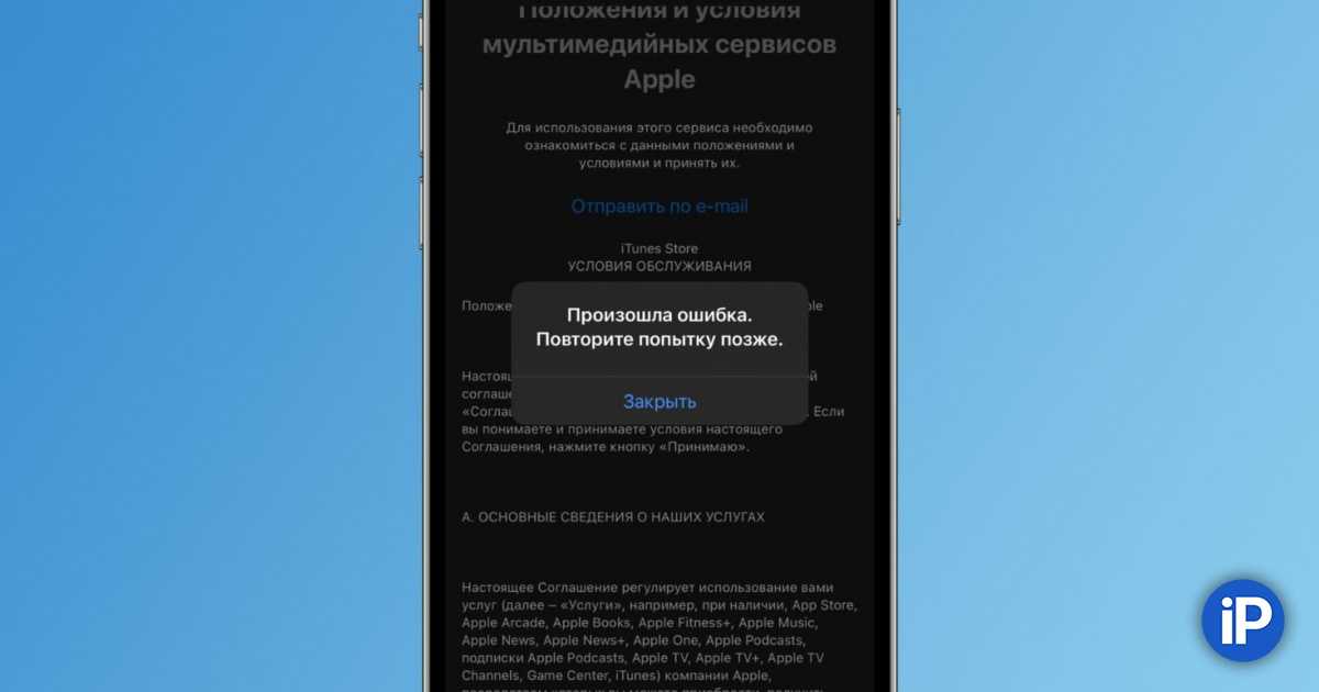 Когда разблокируют tiktok в россии в 2022 году — когда можно будет выкладывать видео и вести трансляции?