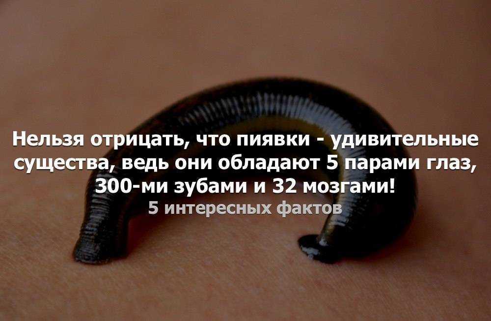 20 интересных фактов о деньгах