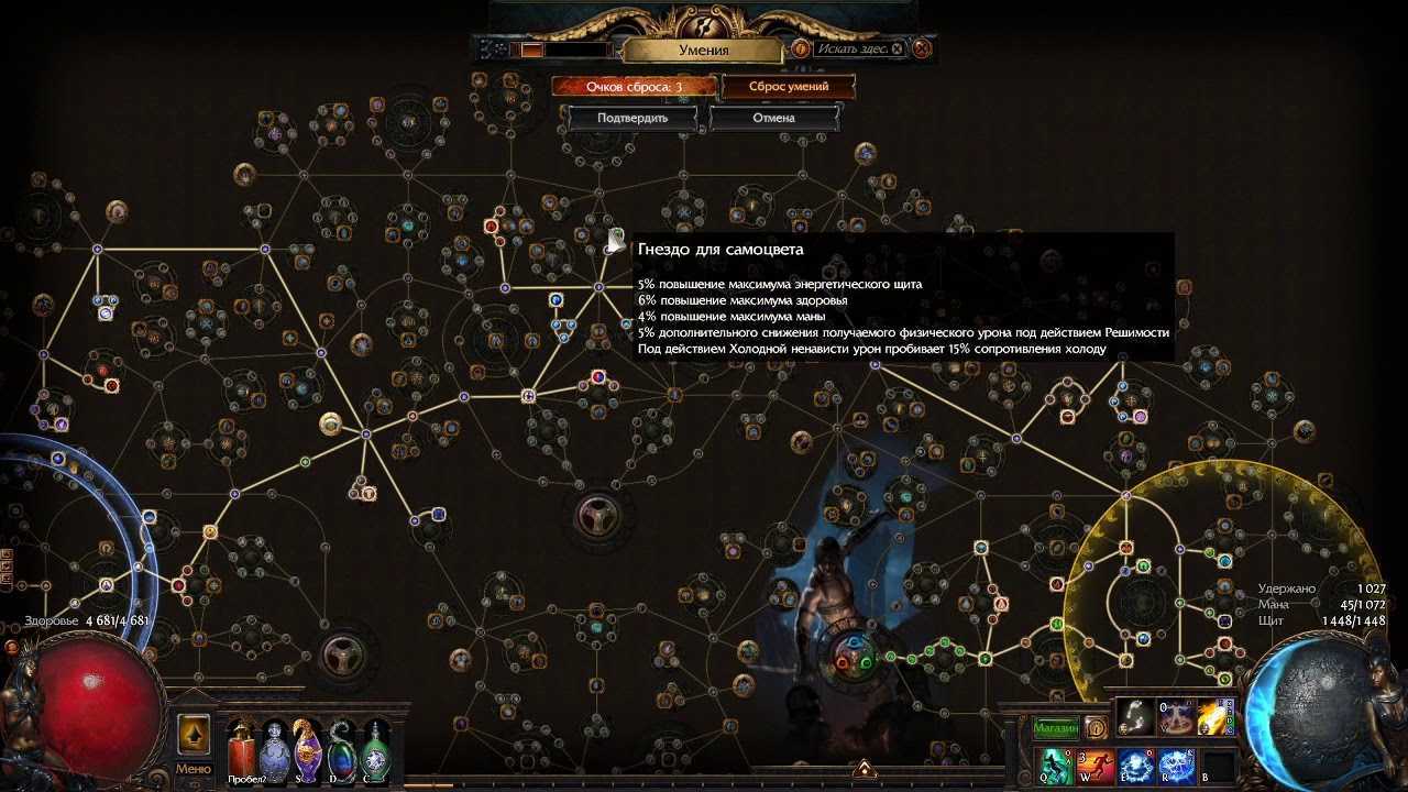 Новые пассивные умения в path of exile: какие скиллы качать в древе навыков?