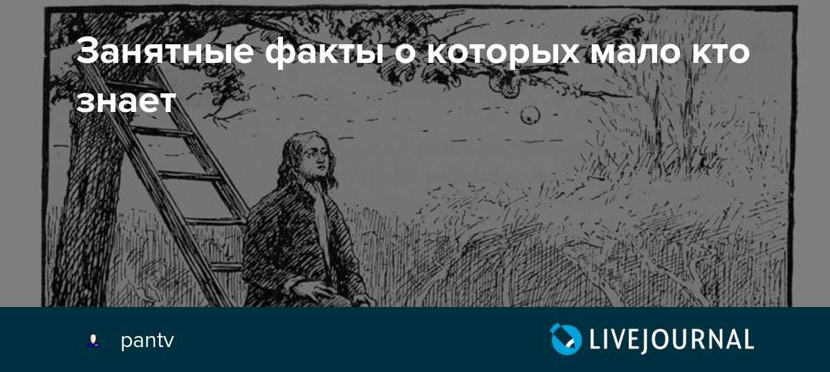 Genshin impact: десять интересных и малоизвестных фактов об игре