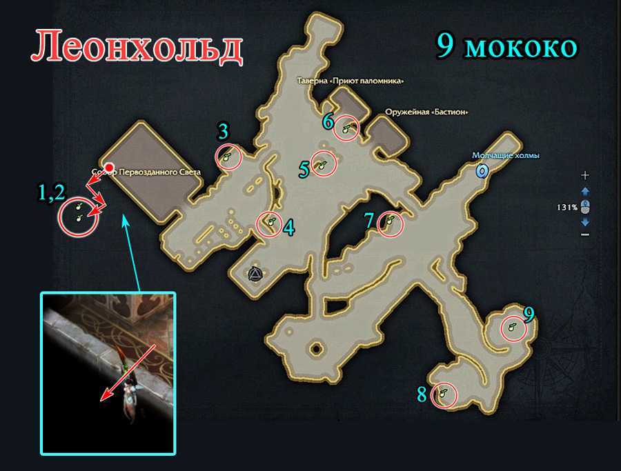 Семена мококо в лост арк 2.0: карты мококо во всех локациях и на островах (1324 штук) | игровой портал mygrind.ru