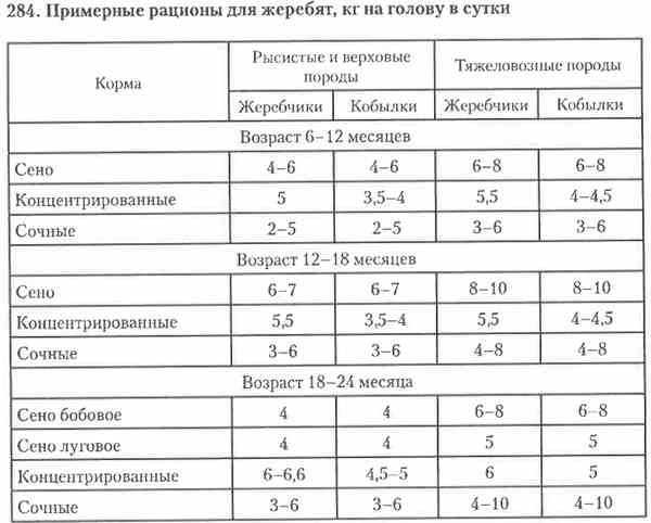 Как разводить лошадей?