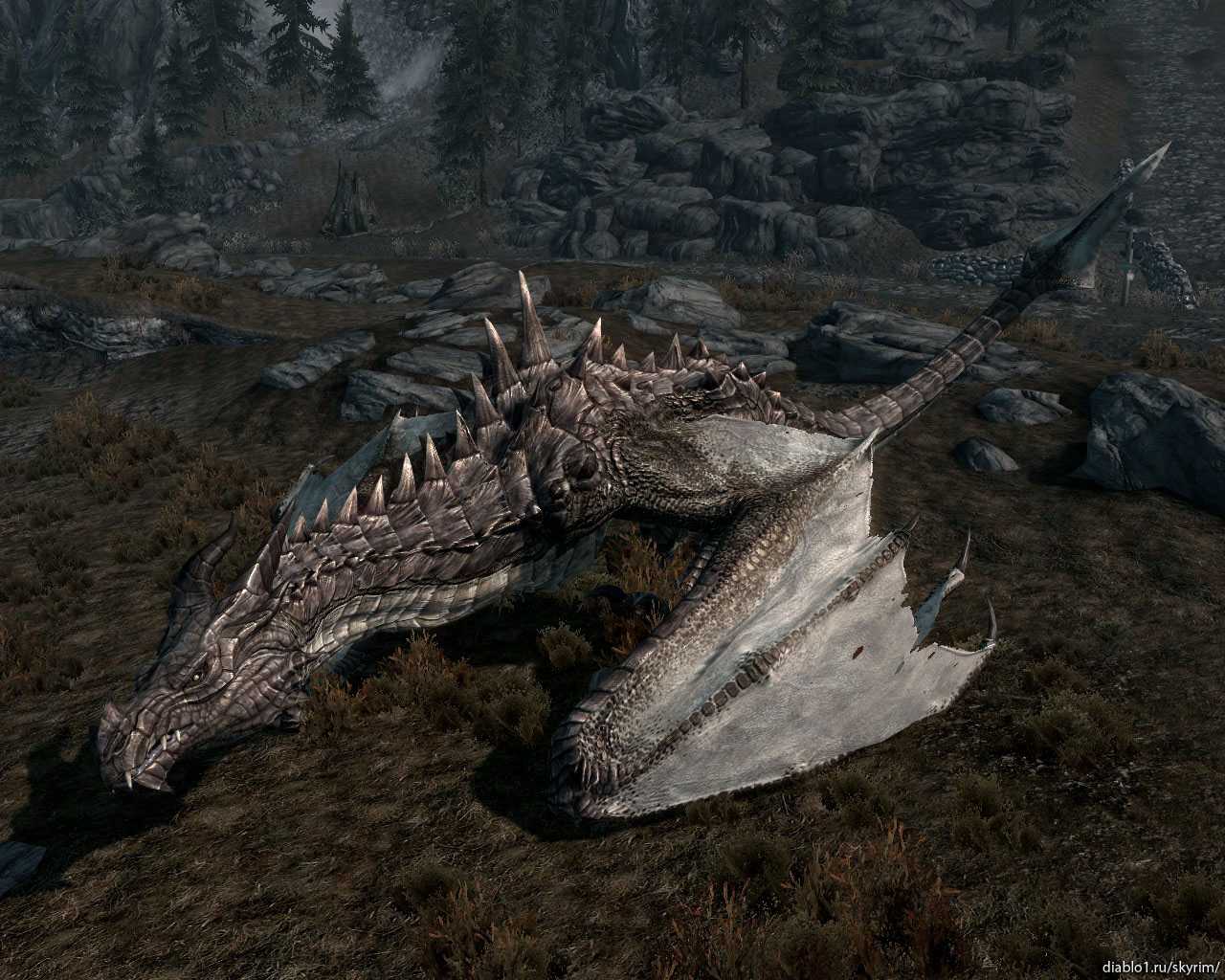 Карта скайрима где находятся драконы. где находятся драконы в skyrim? типы драконов и их слабые стороны