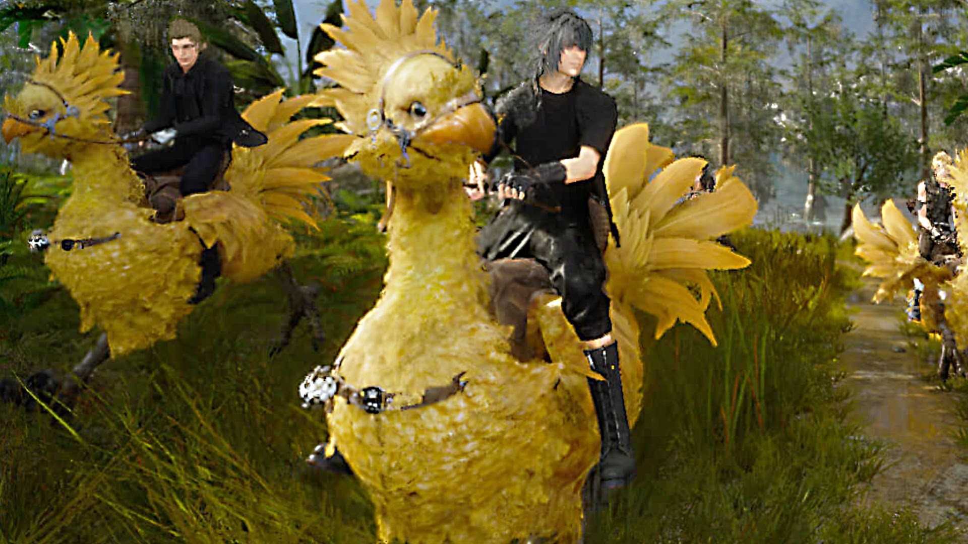 Как гонять чокобо в final fantasy xiv