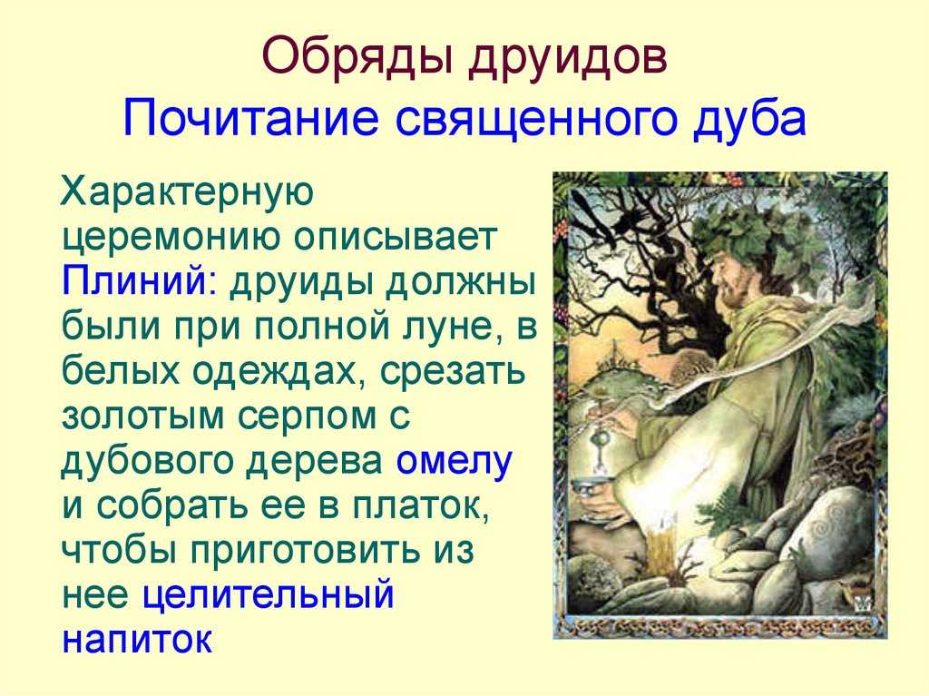Немного о друидах