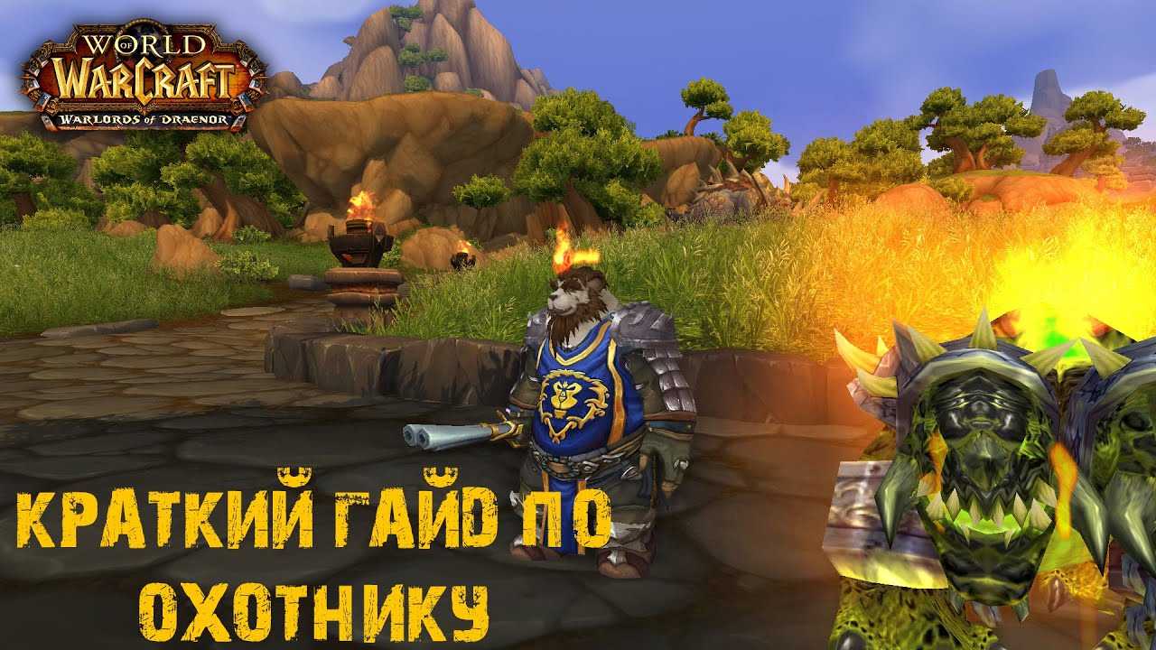 Бм хант в wow shadowlands 9.1.5