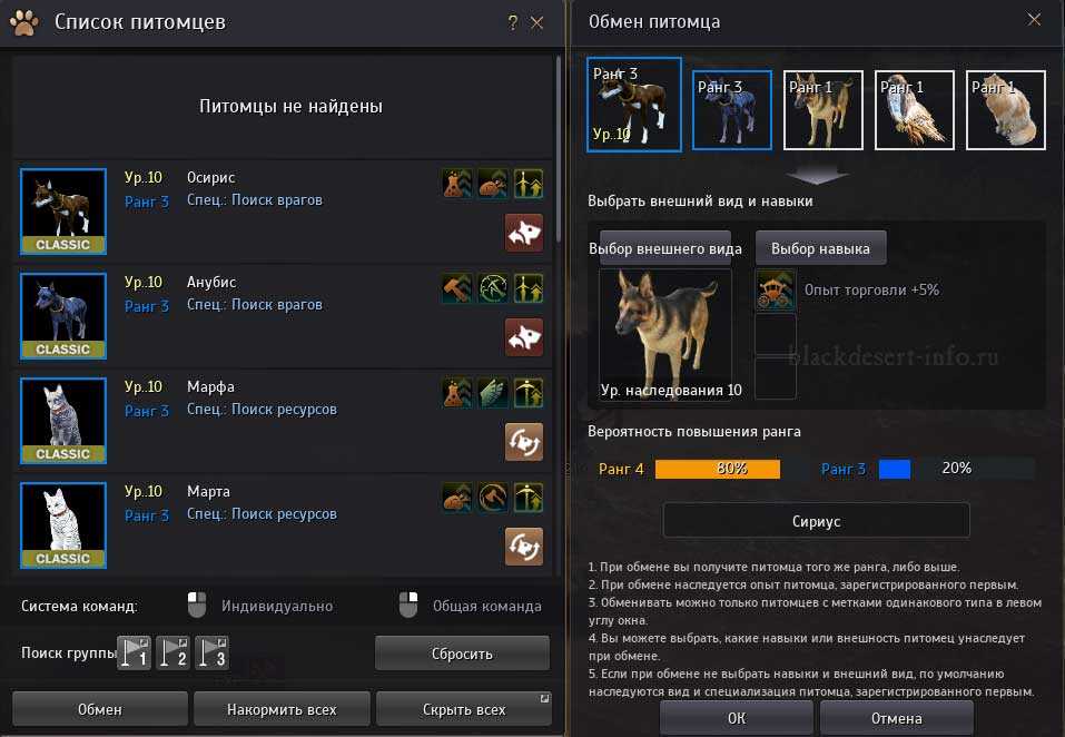 Все про лошадей в black desert