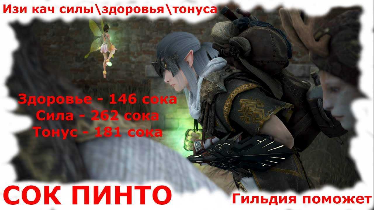 Прокачка силы black desert – black desert: black desert - прокачка дополнительных параметров персонажа. тонус, сила и здоровье