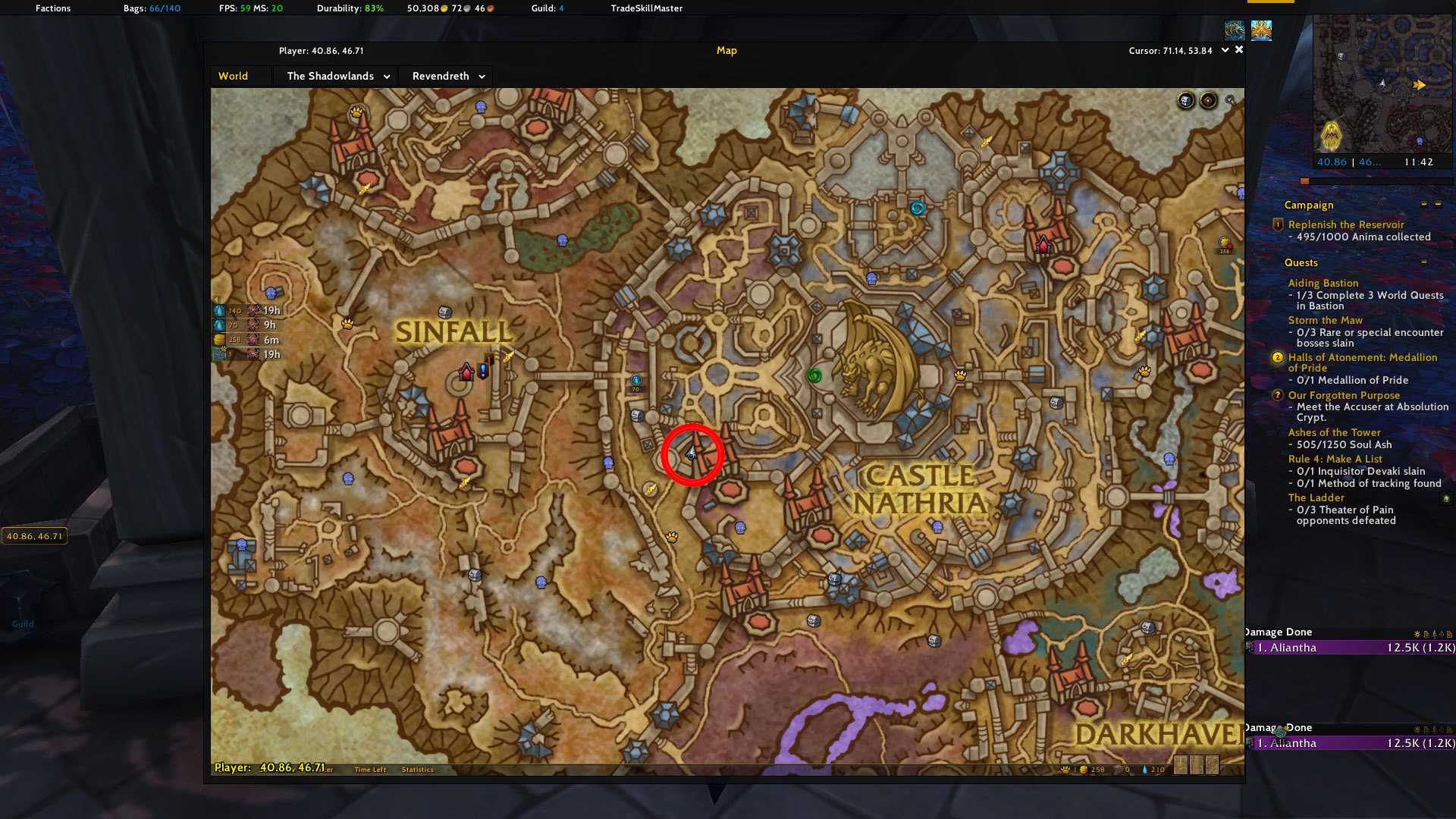 Гайд по запретному краю в wow dragonflight: маунты, рарники