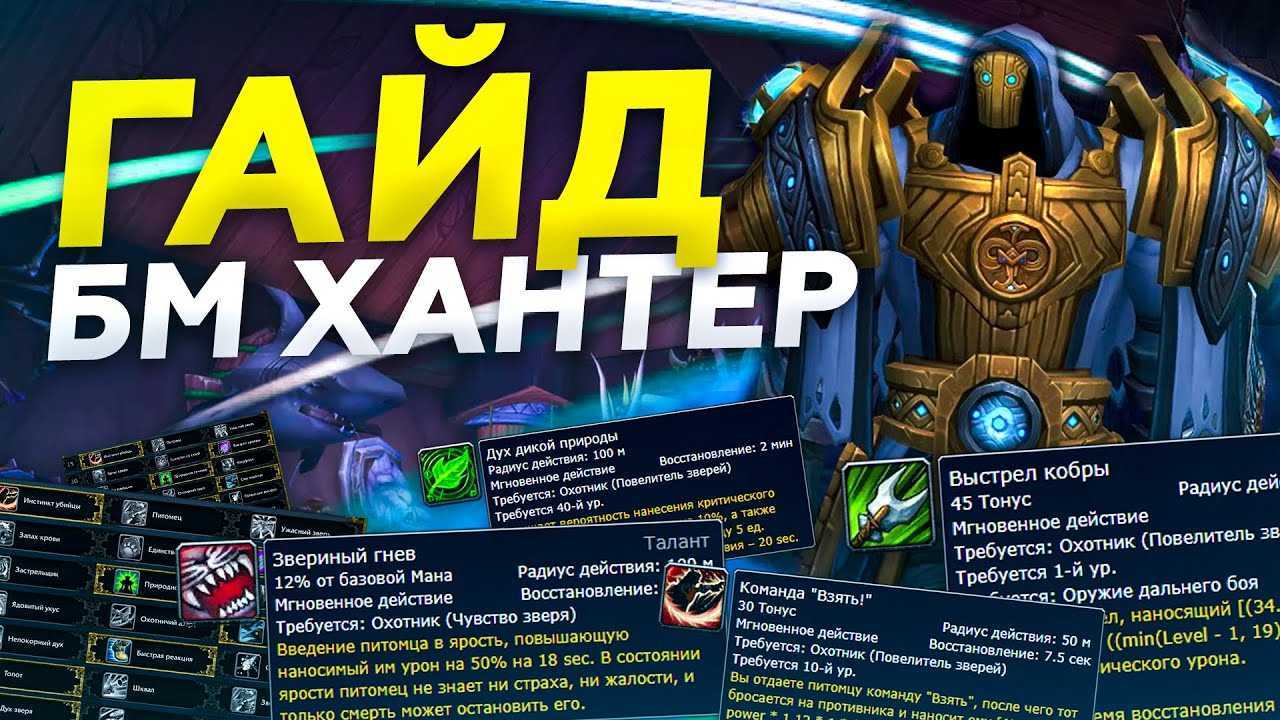 Гайд по охотнику стрельба 9.2 — wow shadowlands