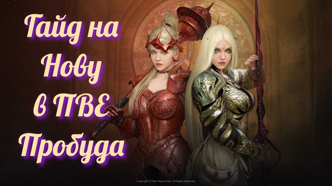 Полный гайд для новичков black desert online — разбор всего