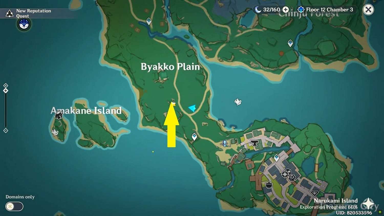 Где найти самураев ивакура в genshin impact: секретное достижение