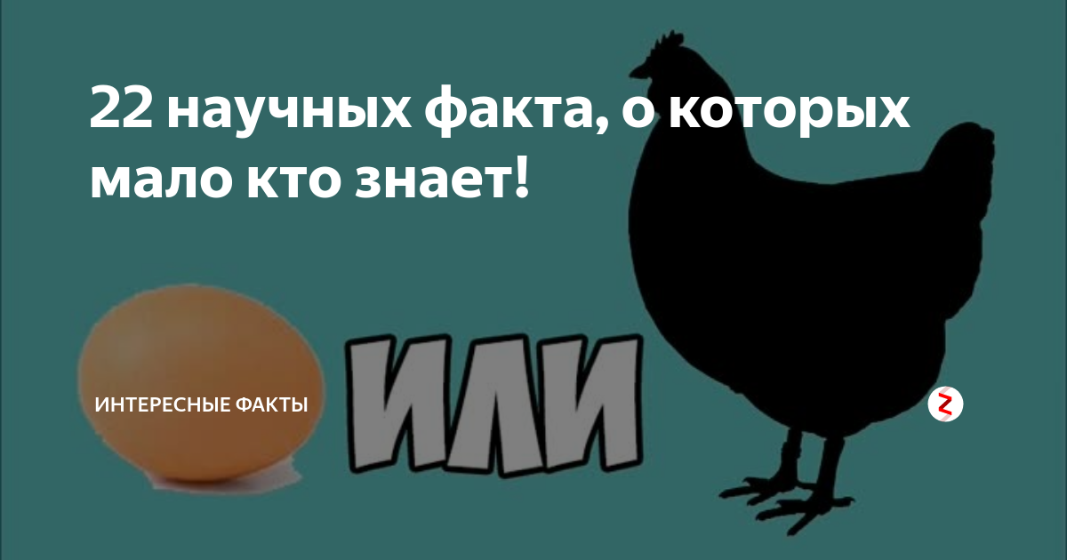 25 самых интересных вещей, о которых не рассказывают на школьных уроках в наши дни