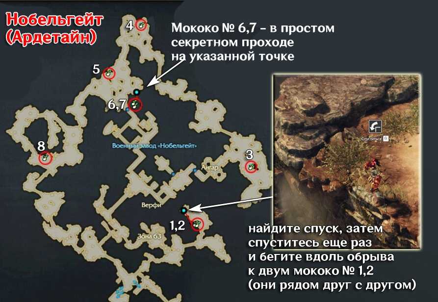 Lost ark: семена мококо — зачем они нужны и как их найти (гайд)
