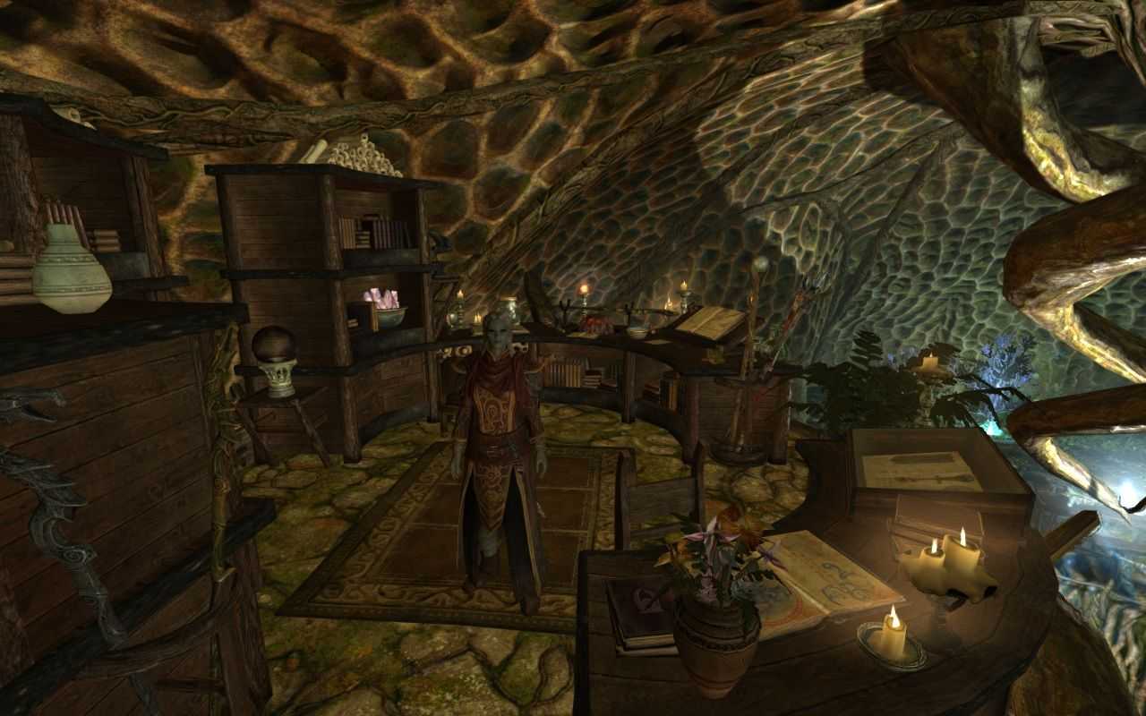 Skyrim - улучшенный интеллект нпц (очень атмосферный мод!) / immersive citizens - моды для игр - all-mods.ru